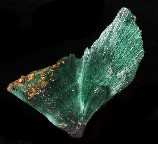 Chatoyant, Fibrous Malachite Crystals - Congo #33801